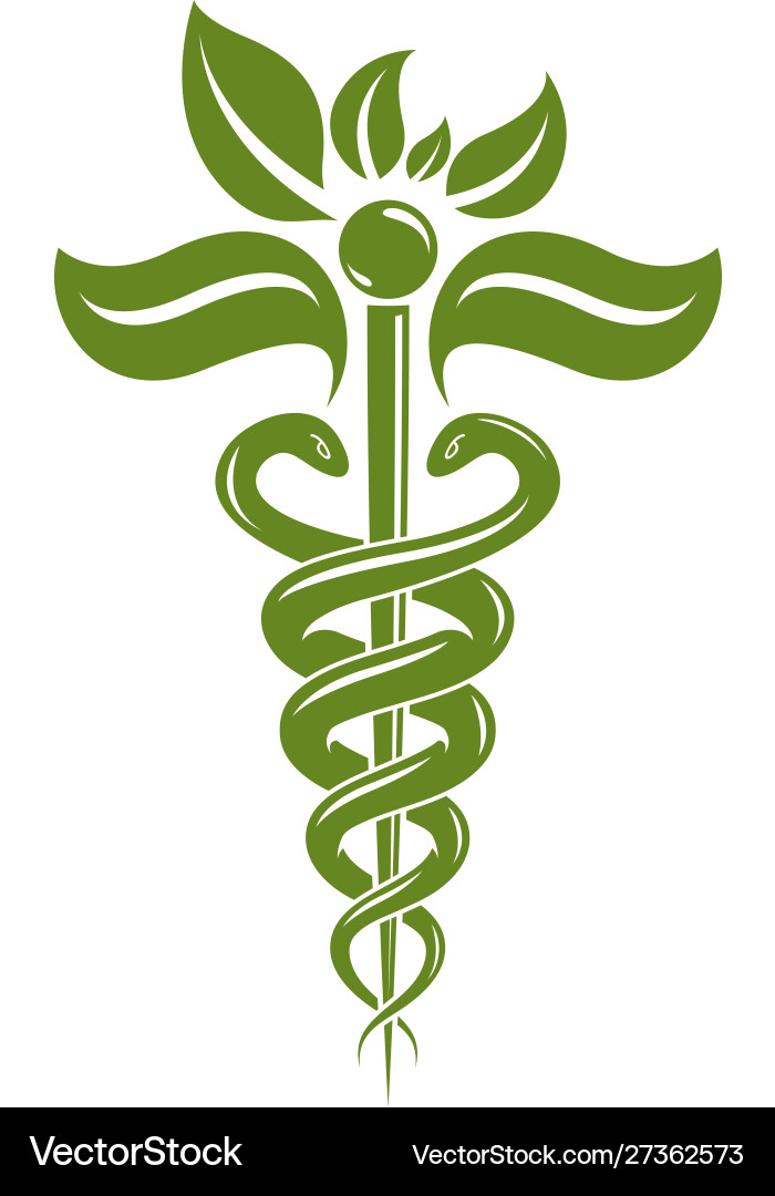 Aesculapius abstract created using snakes Aesculapius abstract created using snakes vector image