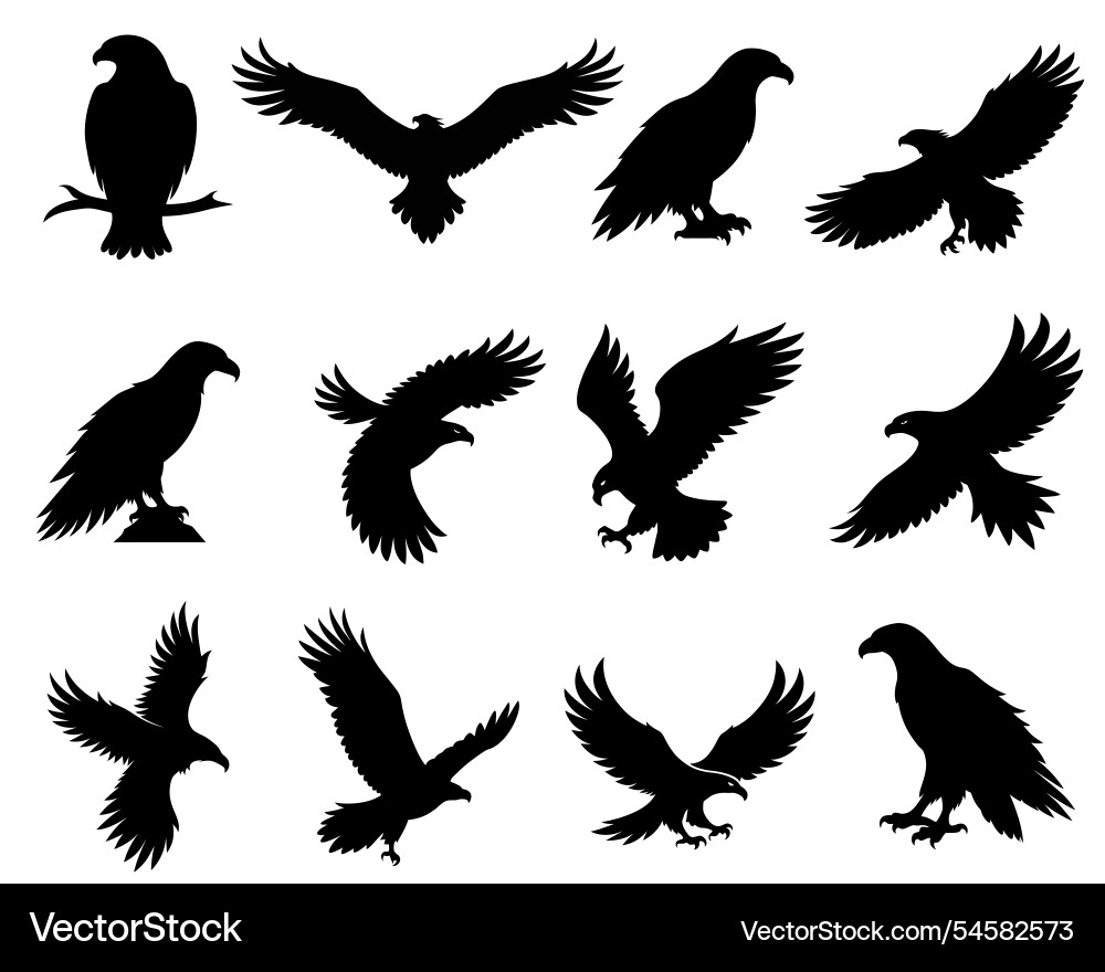 Set of eagle silhouettes Set of eagle silhouettes vector image
