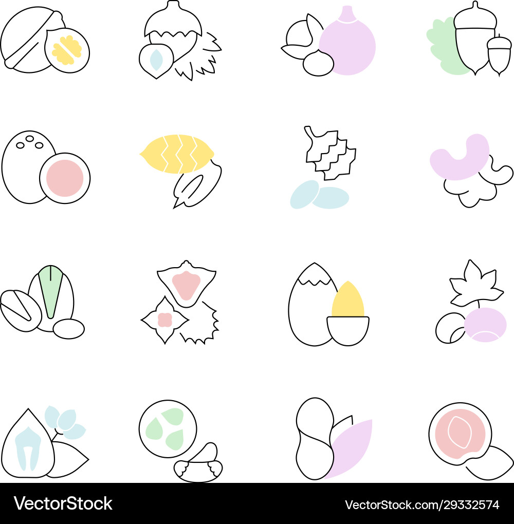 Set flat line icons nuts Set flat line icons nuts vector image