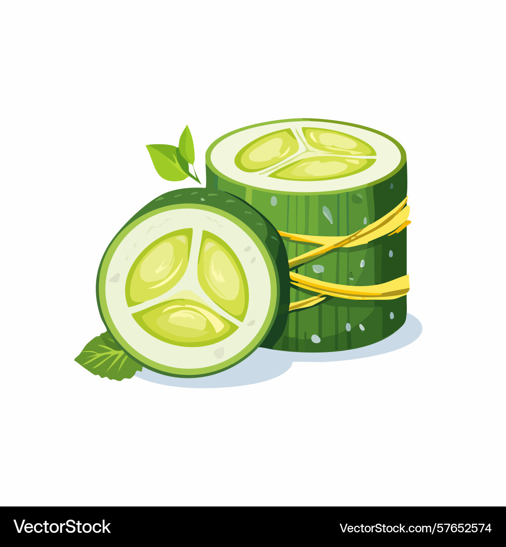 Stacked cucumber slices with decorative twine Vector Image
