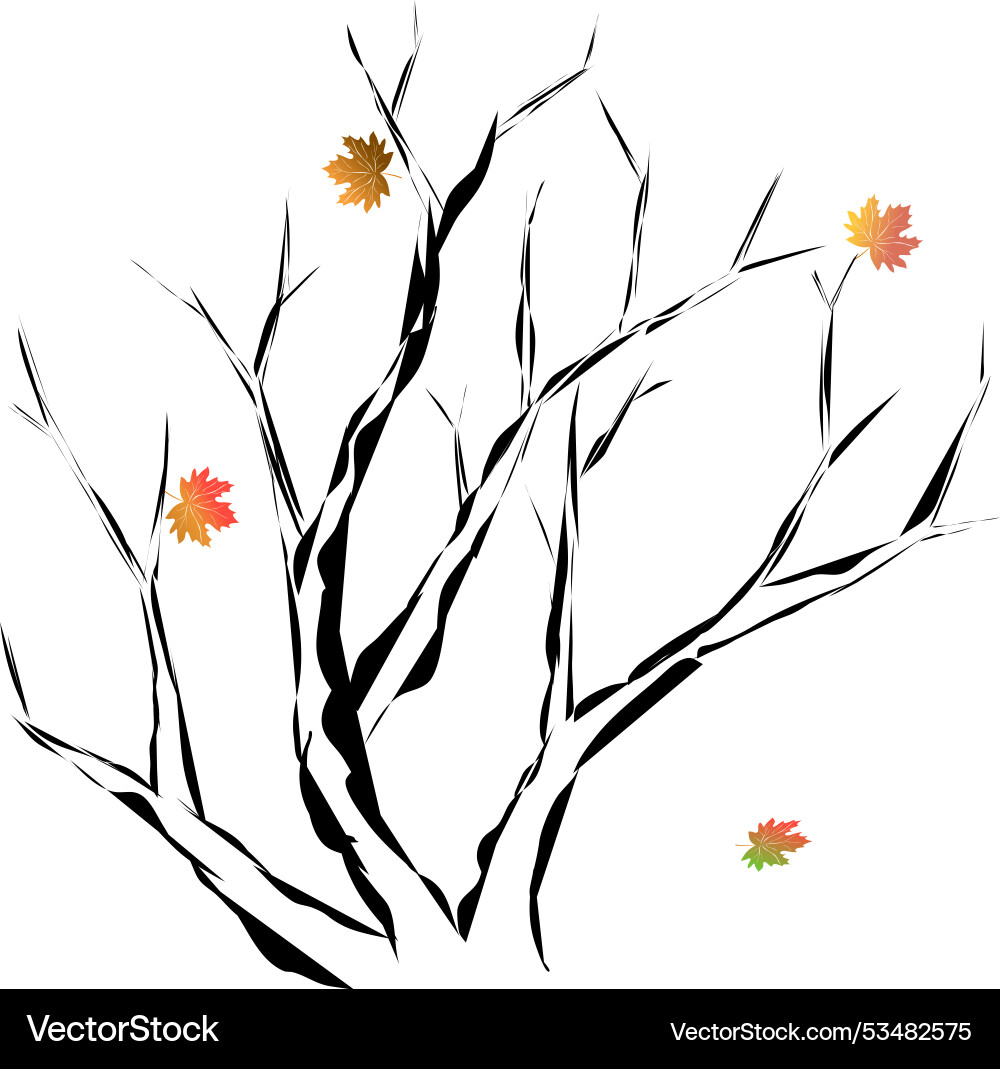 Branches of an autumn tree with falling maple Vector Image
