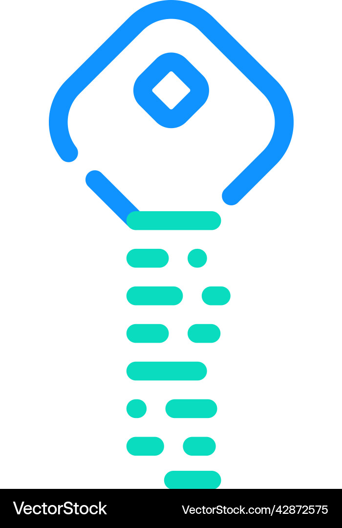 Digital key color icon Digital key color icon vector image