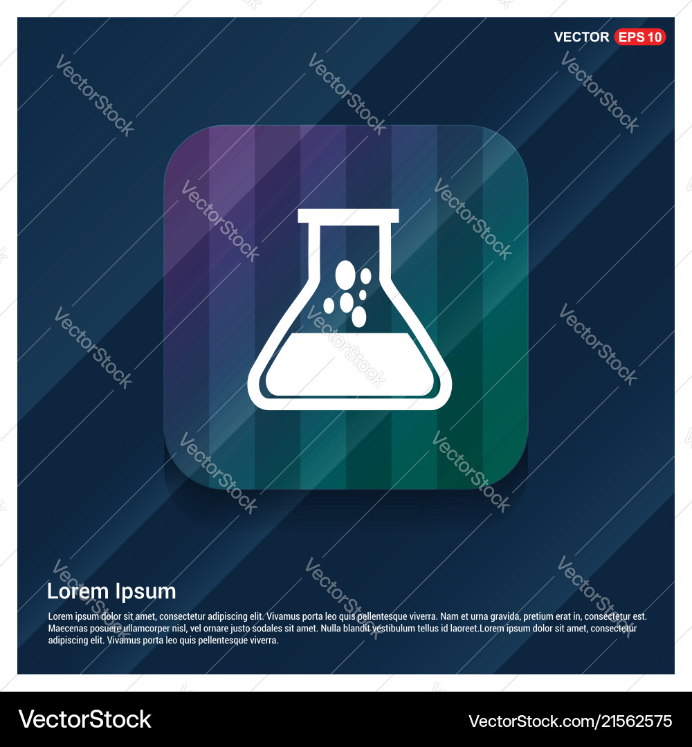 Flask icon Flask icon vector image