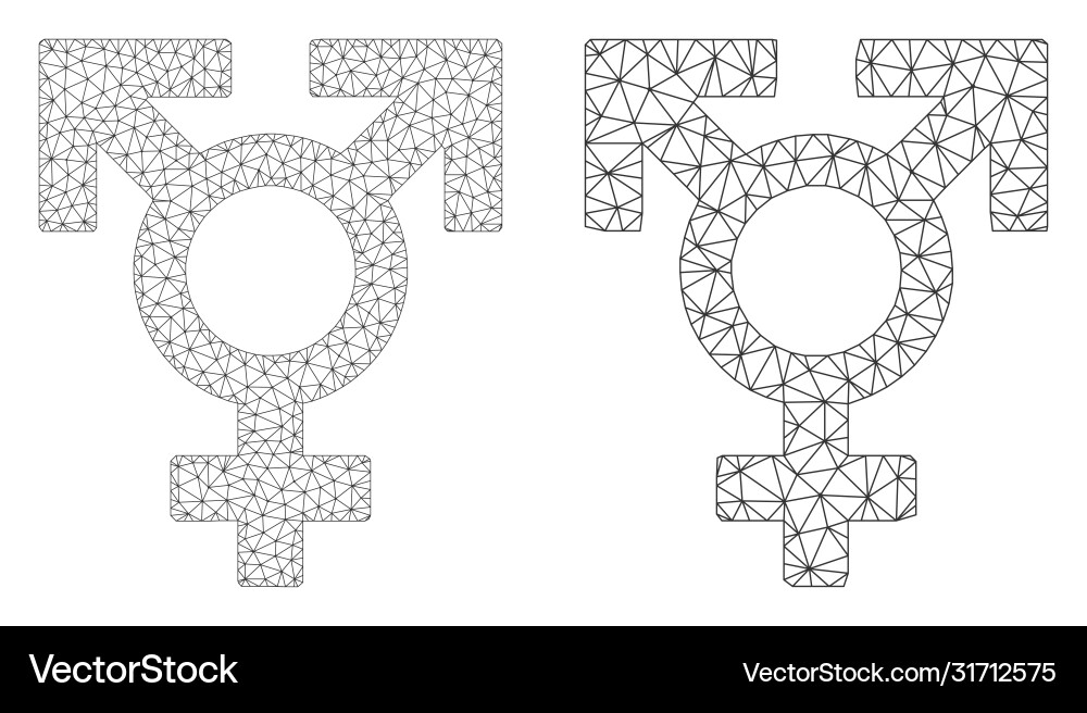 Polyandry sex symbol icon - triangle mesh Polyandry sex symbol icon - triangle mesh vector image