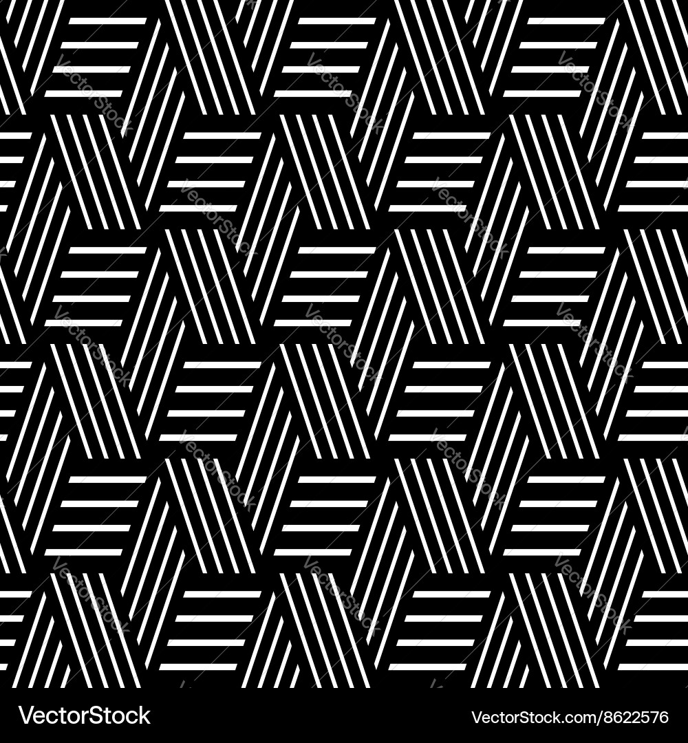 Modern Geometric Lines Pattern vector image