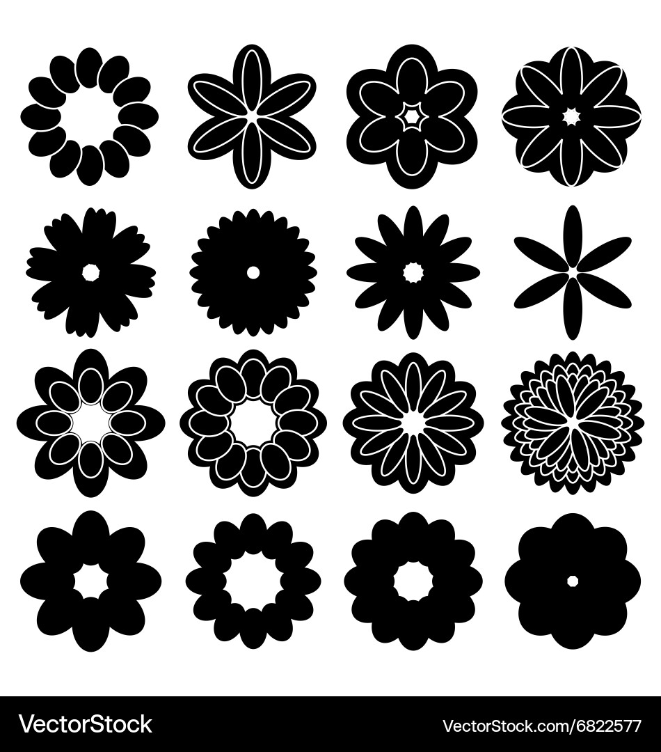 Silhouettes of flowers vector image