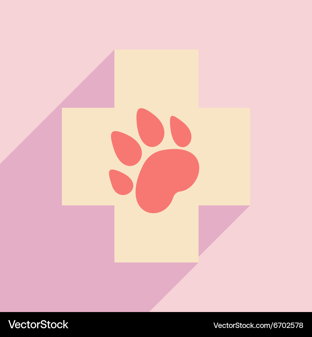 Flat with shadow icon and mobile application vector image