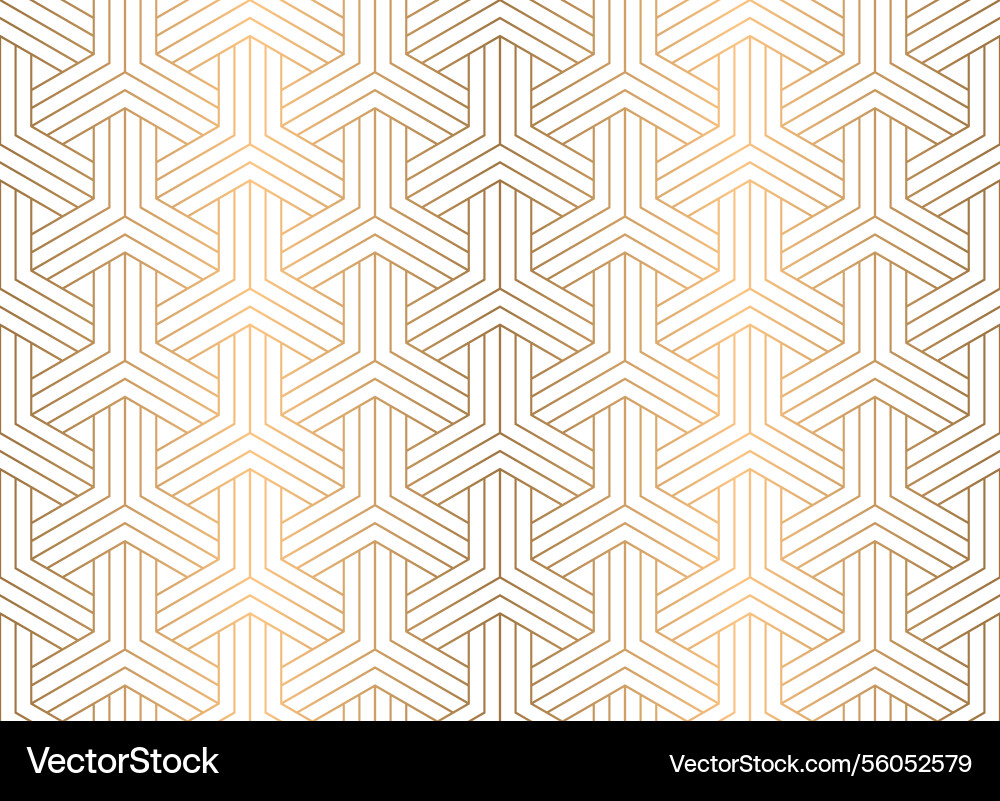 Seamless geometric pattern with hexagon grid line vector image