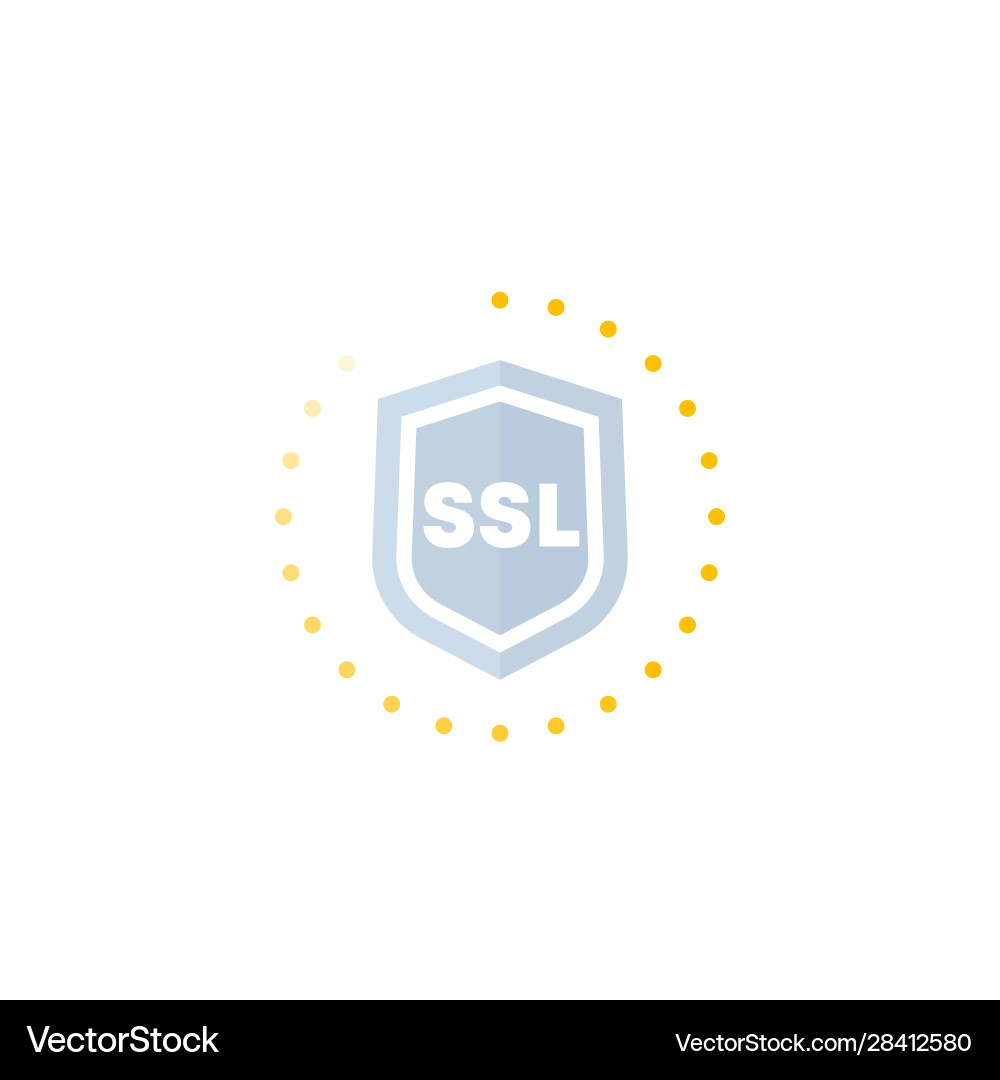 Ssl secure icon for web vector image