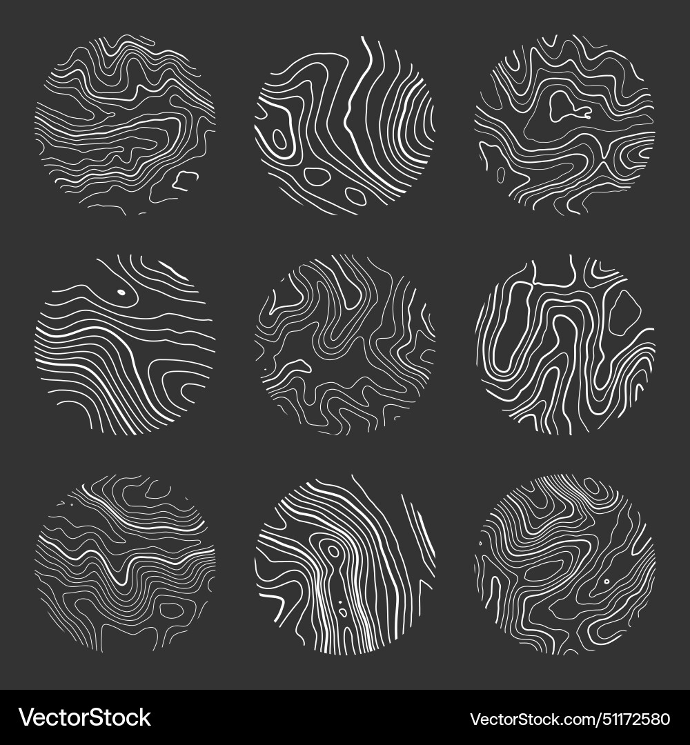 Topographic map with contour lines geographic Topographic map with contour lines geographic vector image