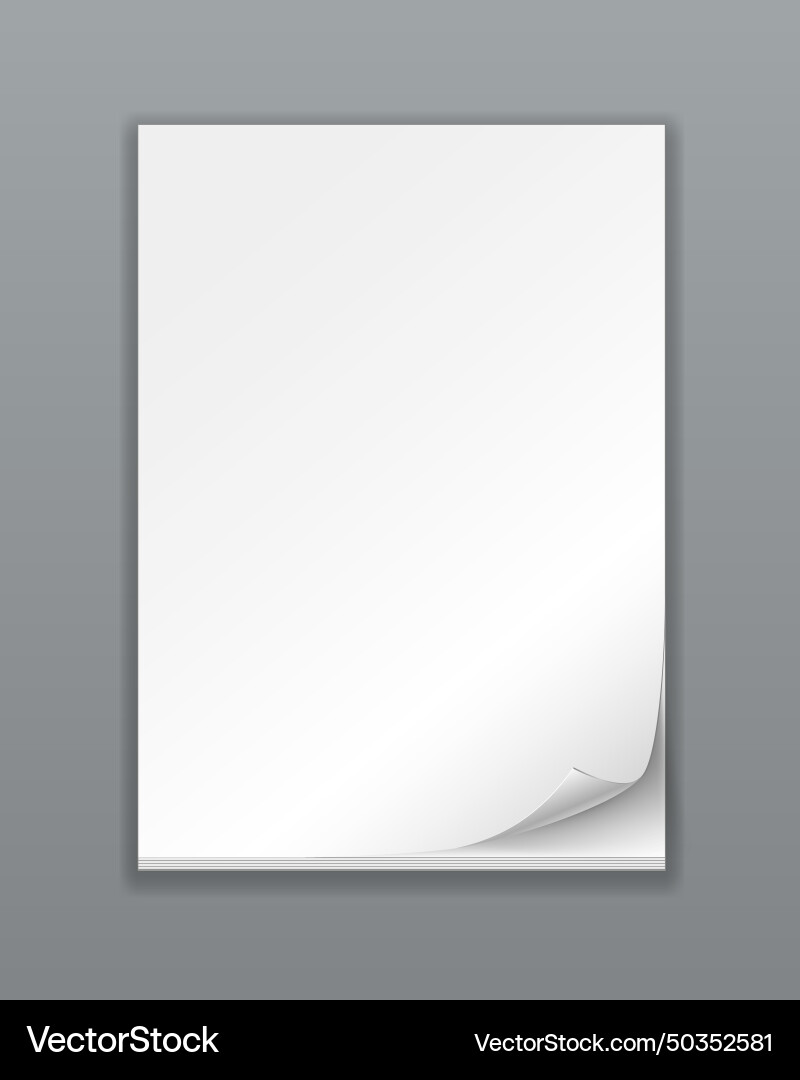 Empty paper stack Vector Image