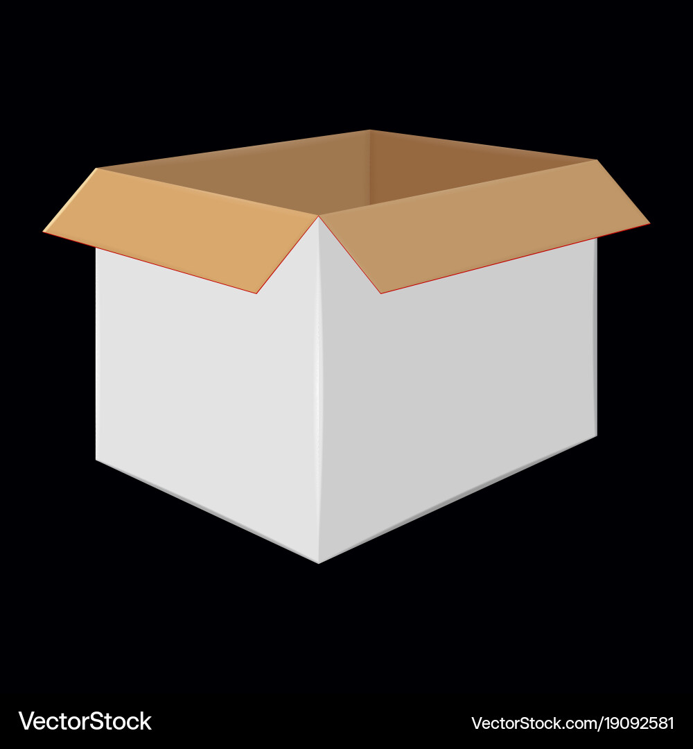 White cardboard open box side view package design vector image
