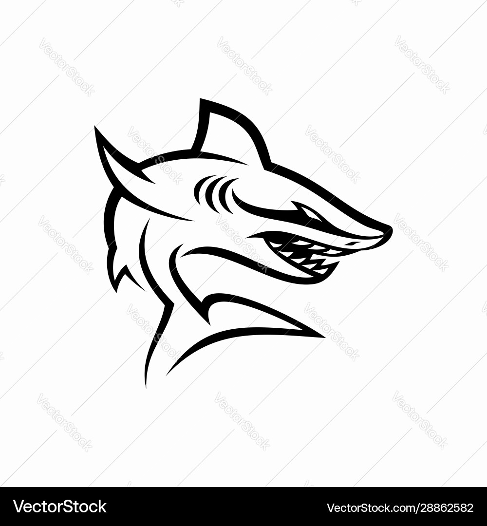 Shark Mascot Logo Template vector image