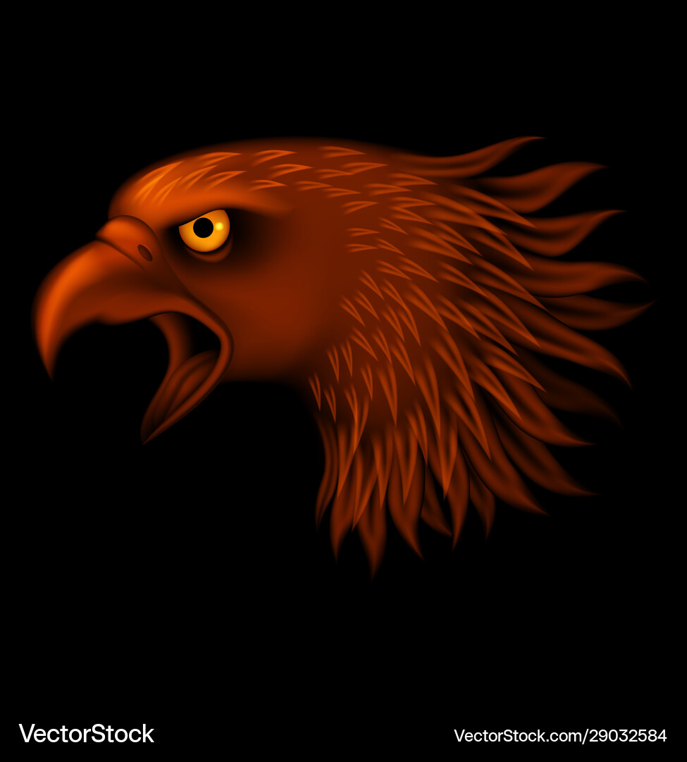 Fire eagle head isolated on black background vector image
