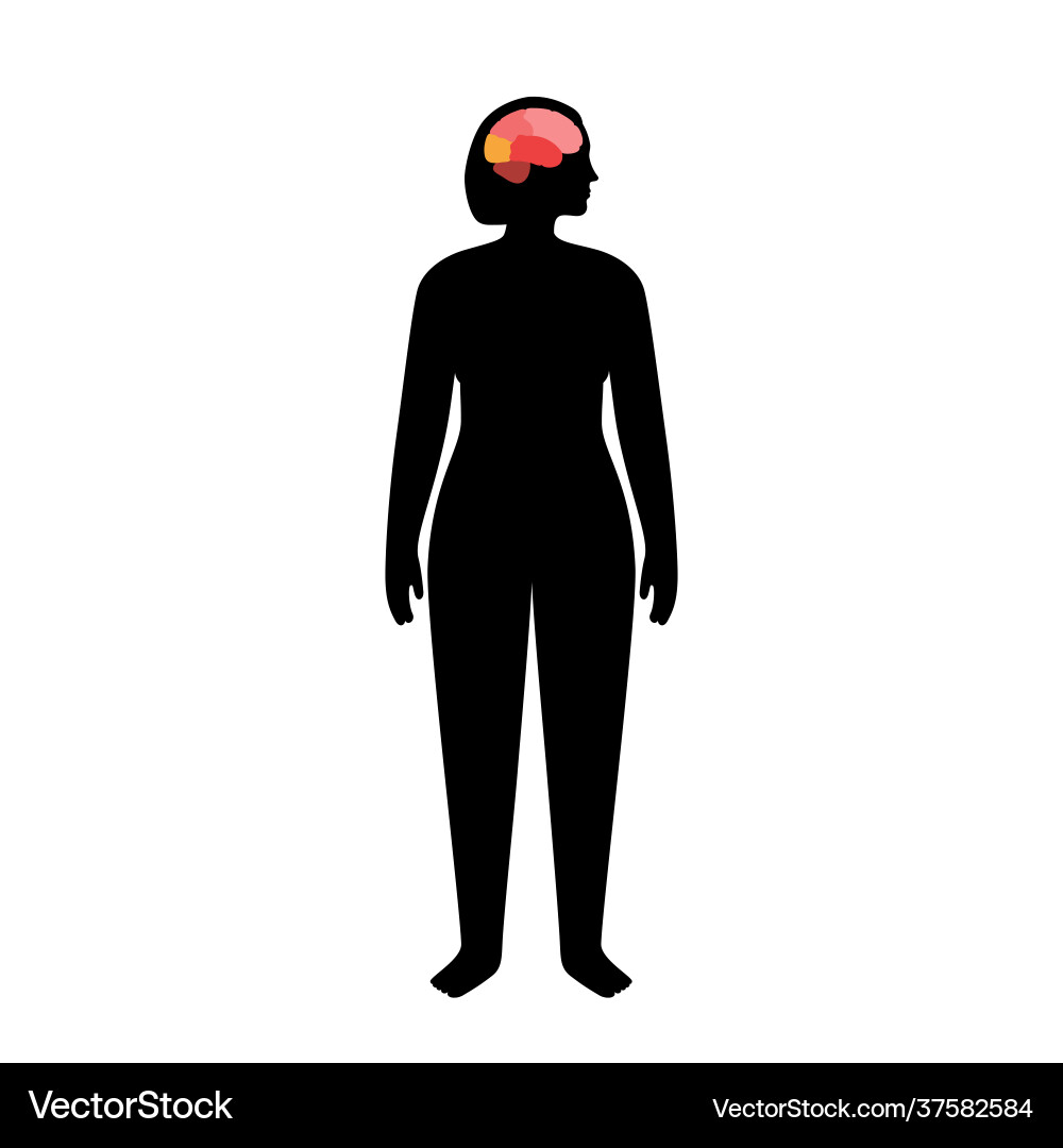 Human brain concept Royalty Free Vector Image - VectorStock