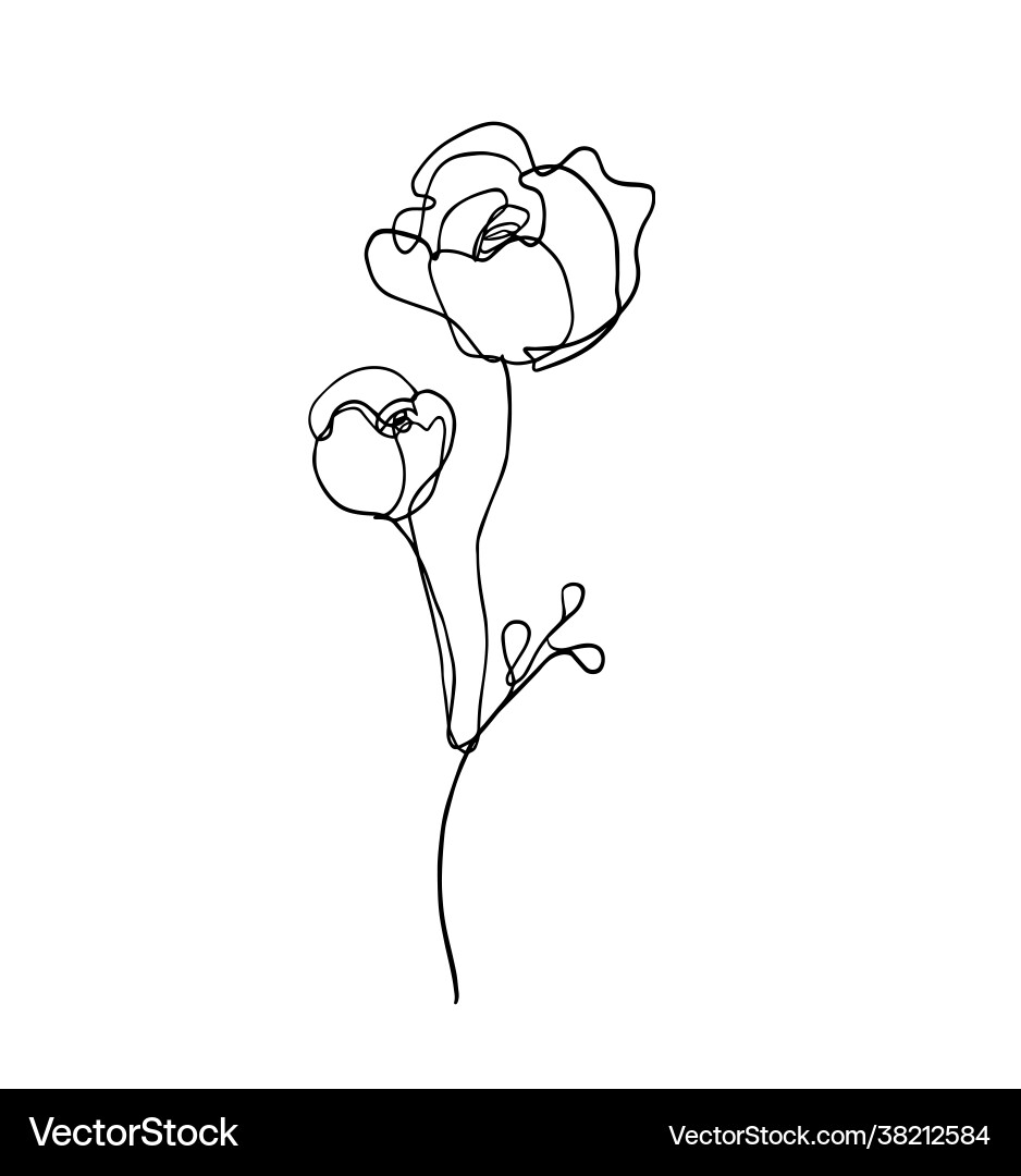 Line art flower pen drawing Line art flower pen drawing vector image