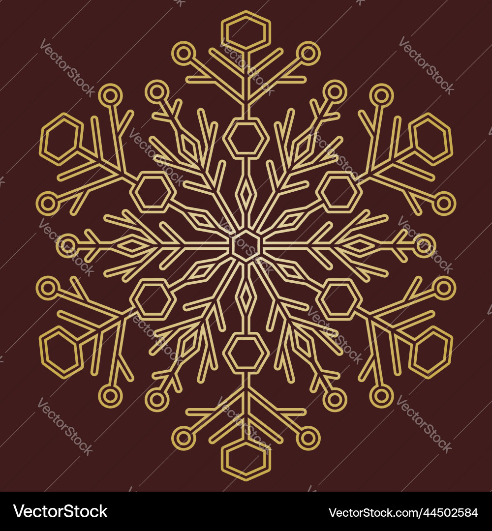 Round snowflake with abstract winter Round snowflake with abstract winter vector image