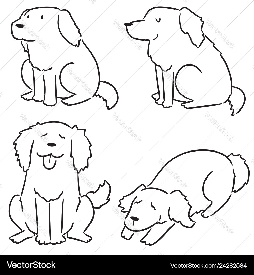 Set of dog golden retriever vector image