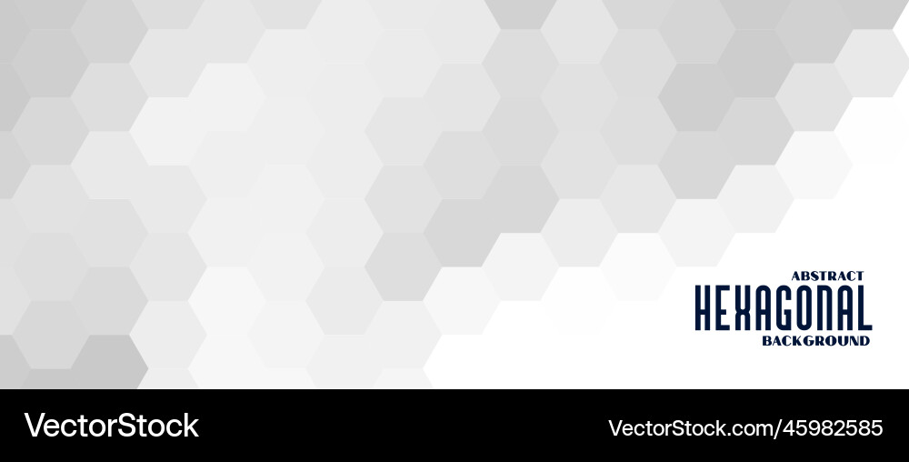 Gray and white hexagonal pattern banner design vector image