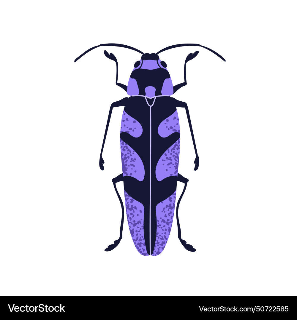Long beetle spotted bug icon above top view Long beetle spotted bug icon above top view vector image