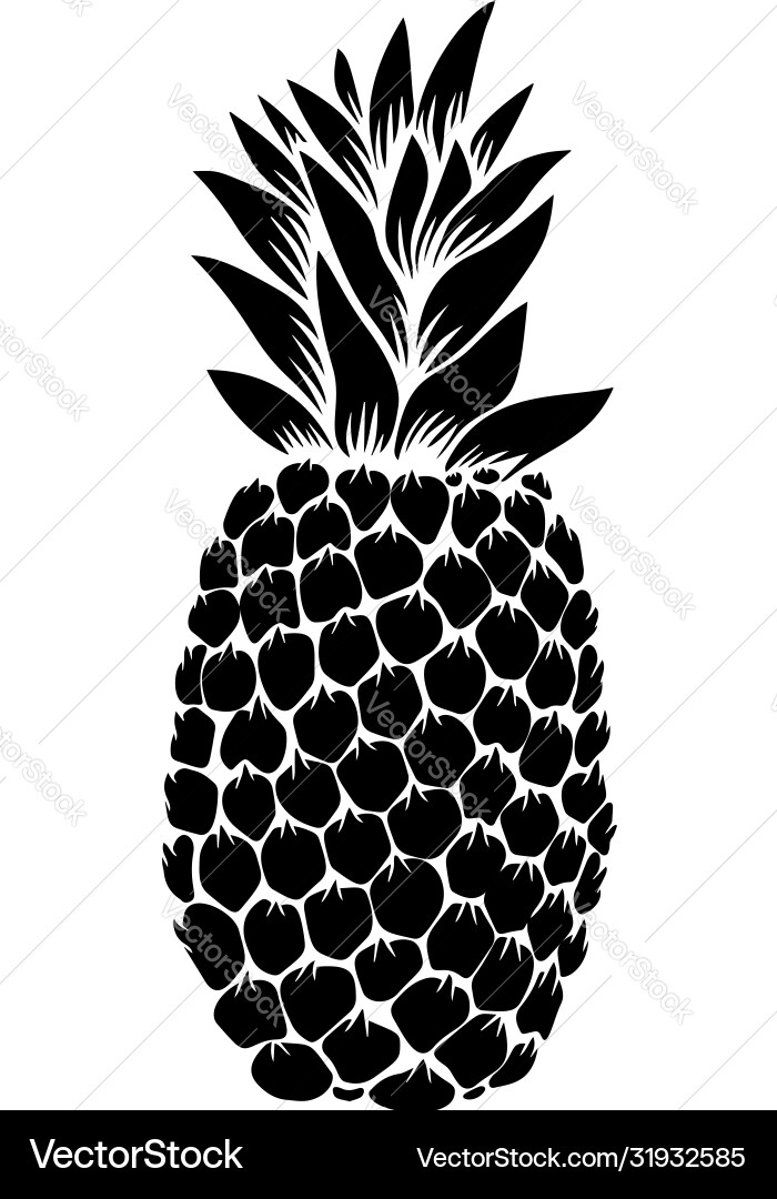 Pineapple in engraving style design element Vector Image