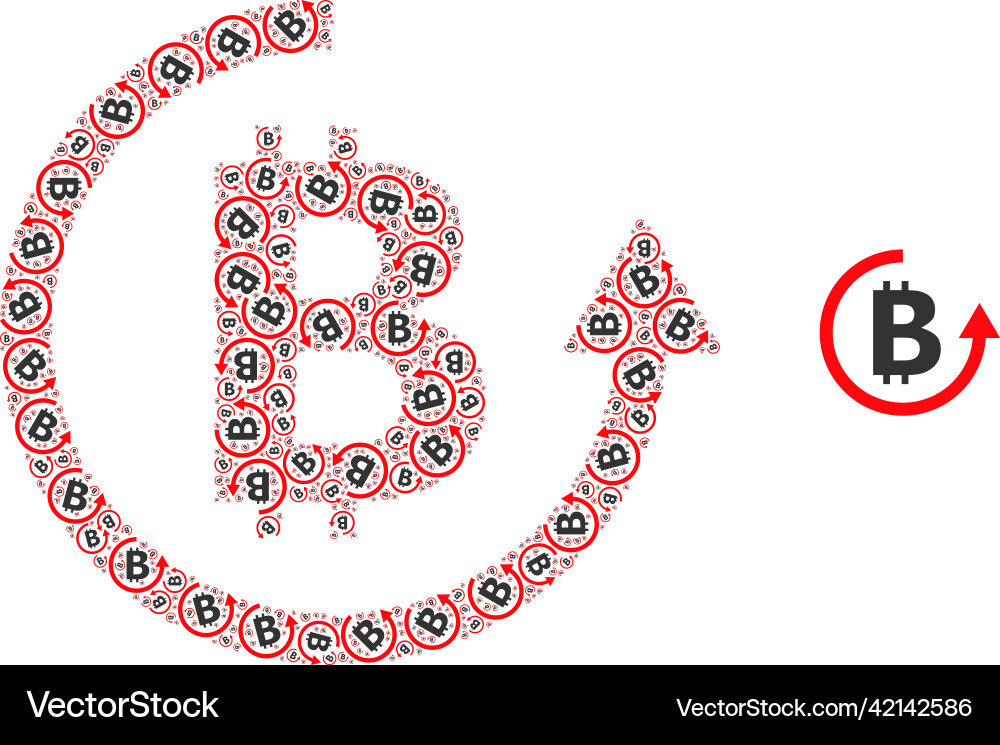 Bitcoin refund recursive mosaic Bitcoin refund recursive mosaic vector image
