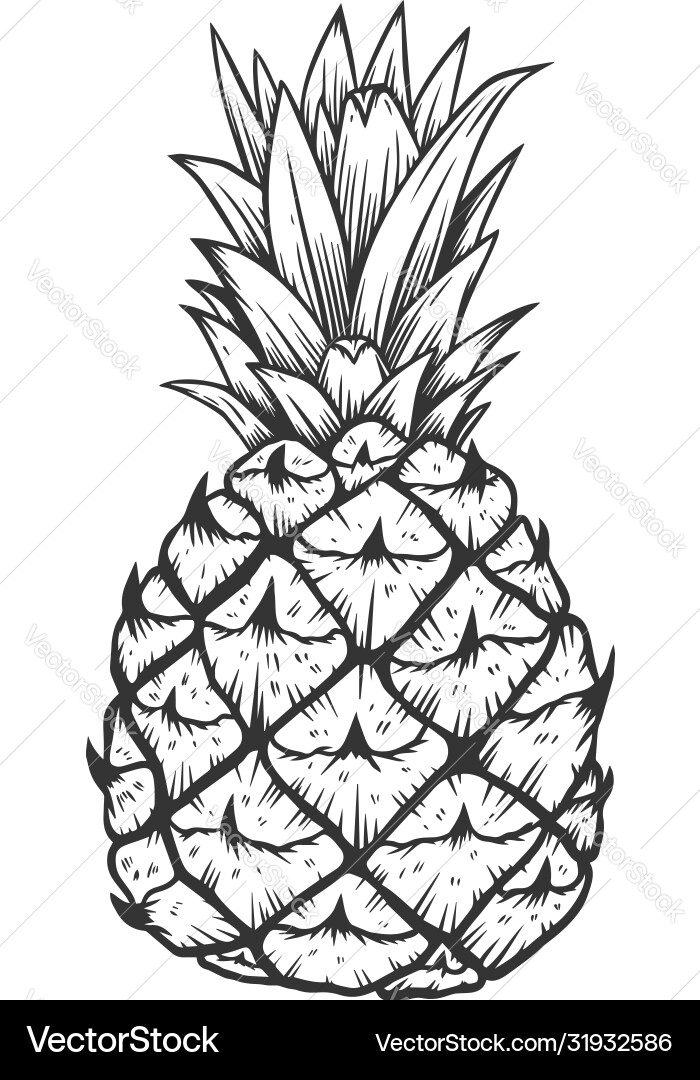 Pineapple in engraving style design element Pineapple in engraving style design element vector image