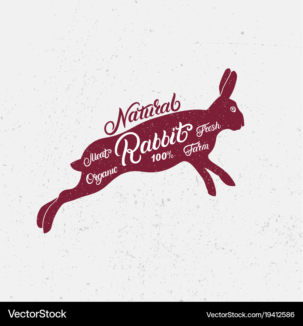 Rabbit silhouette and hand written lettering Vector Image