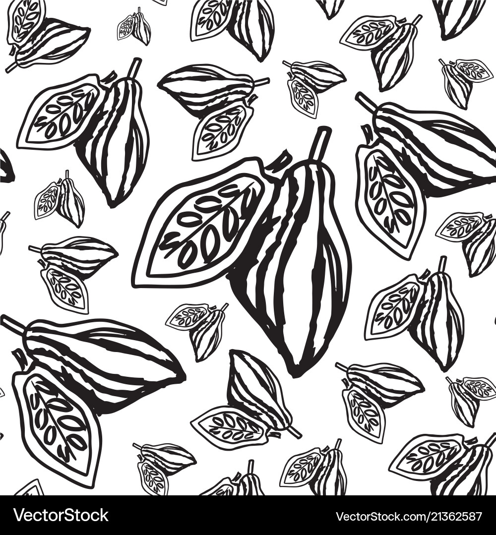Cocoa beans pattern on white background Cocoa beans pattern on white background vector image