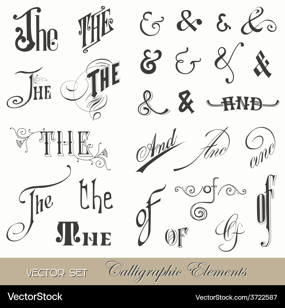 Elegant Calligraphic Script & Ornamental vector image