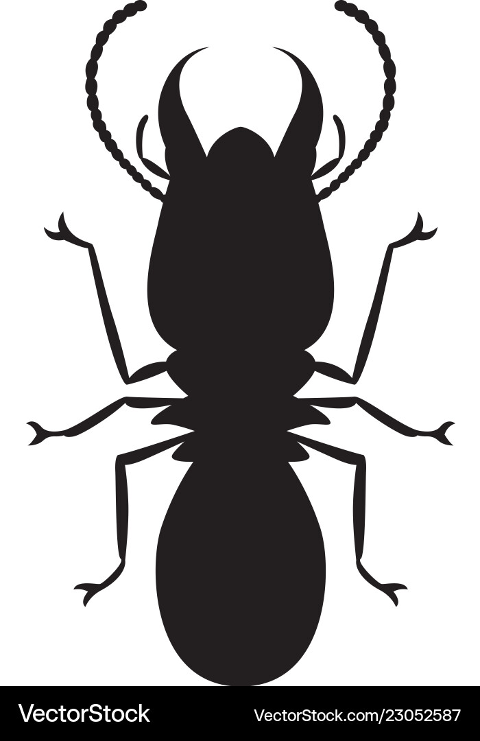 Graphic termite Royalty Free Vector Image - VectorStock