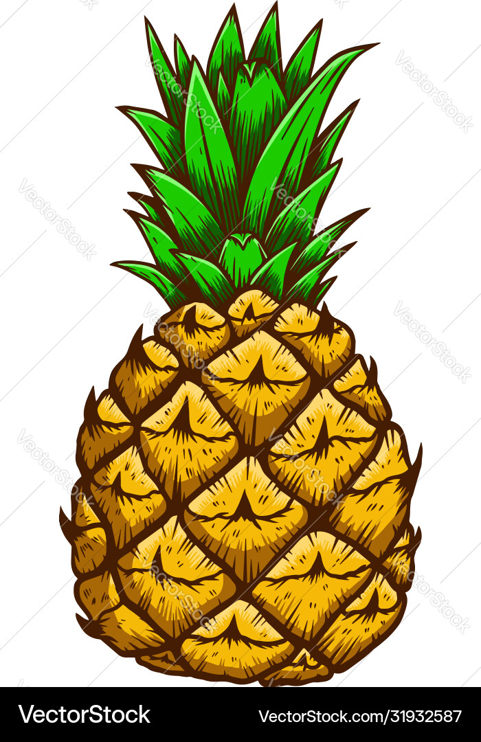 Pineapple in engraving style design element Pineapple in engraving style design element vector image