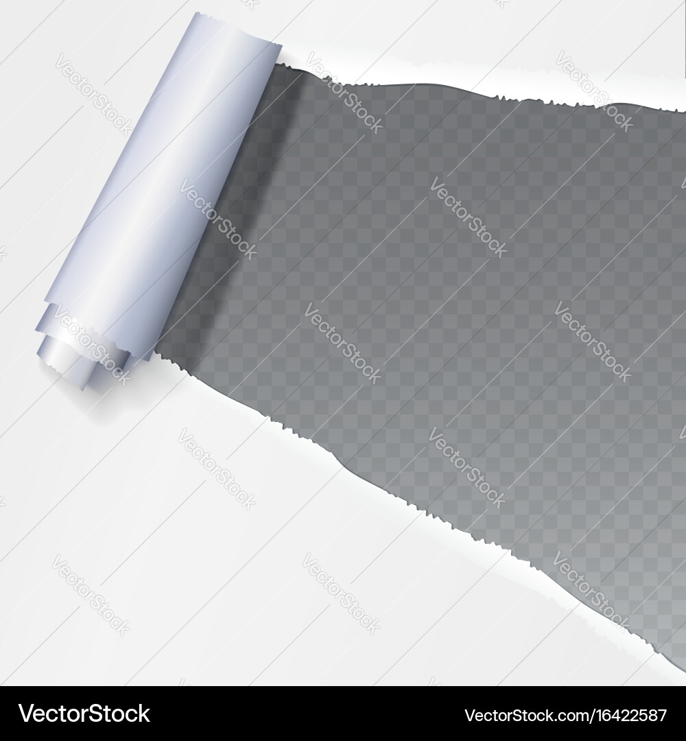 Realistic torn open paper with space for text vector image