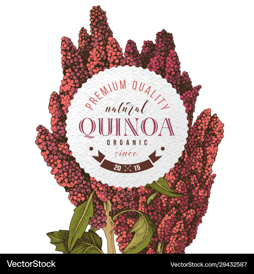 Rundes Emblem mit handgezogenen Quinoa Rundes Emblem mit handgezogenen Quinoa vektorbild