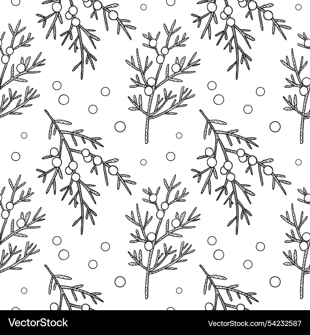 Seamless pattern with juniper branches and berries vector image