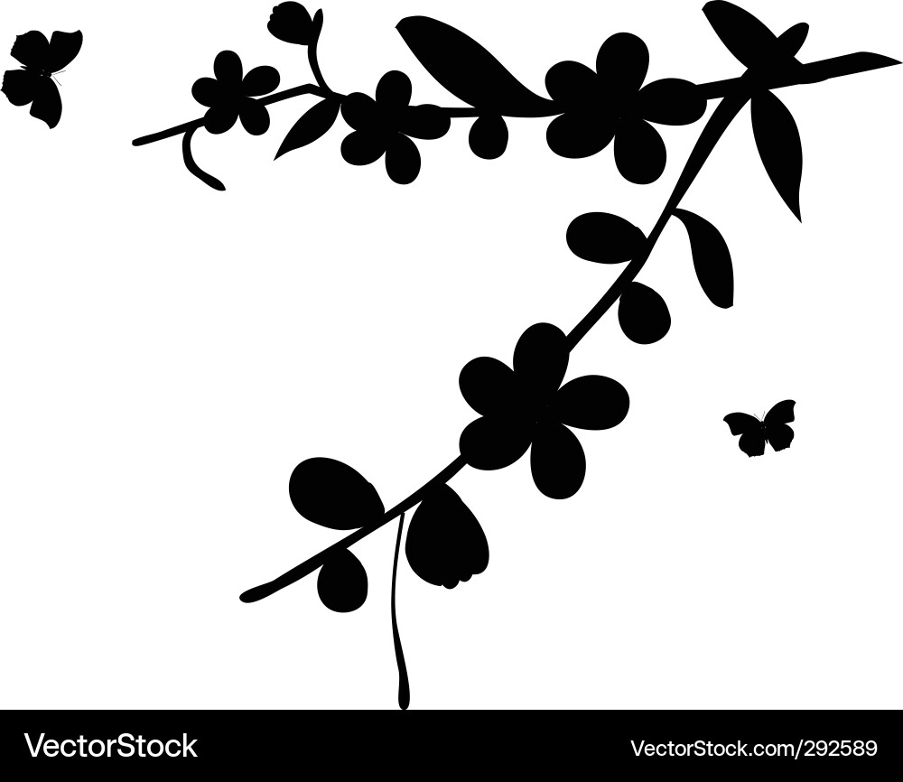 Cherry flowers Vector Image
