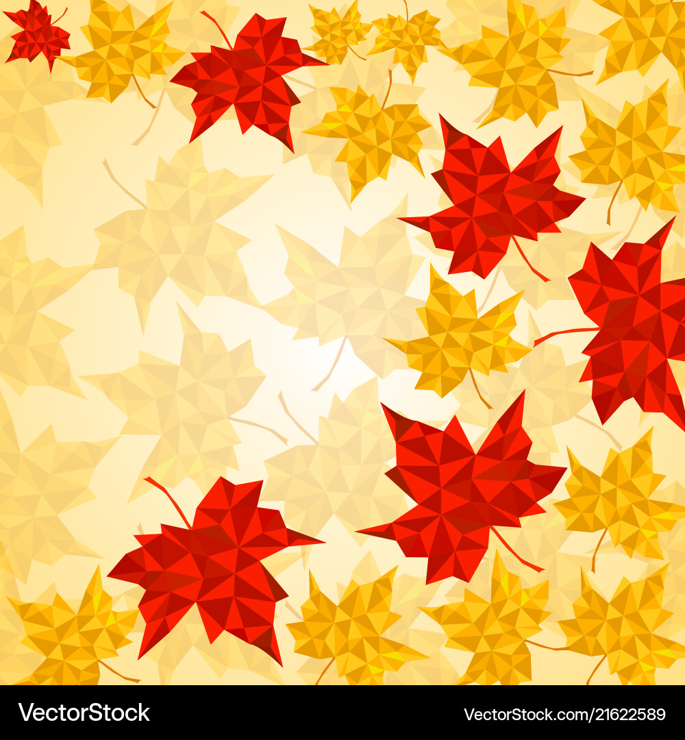 Maple leaves in triangular style vector image