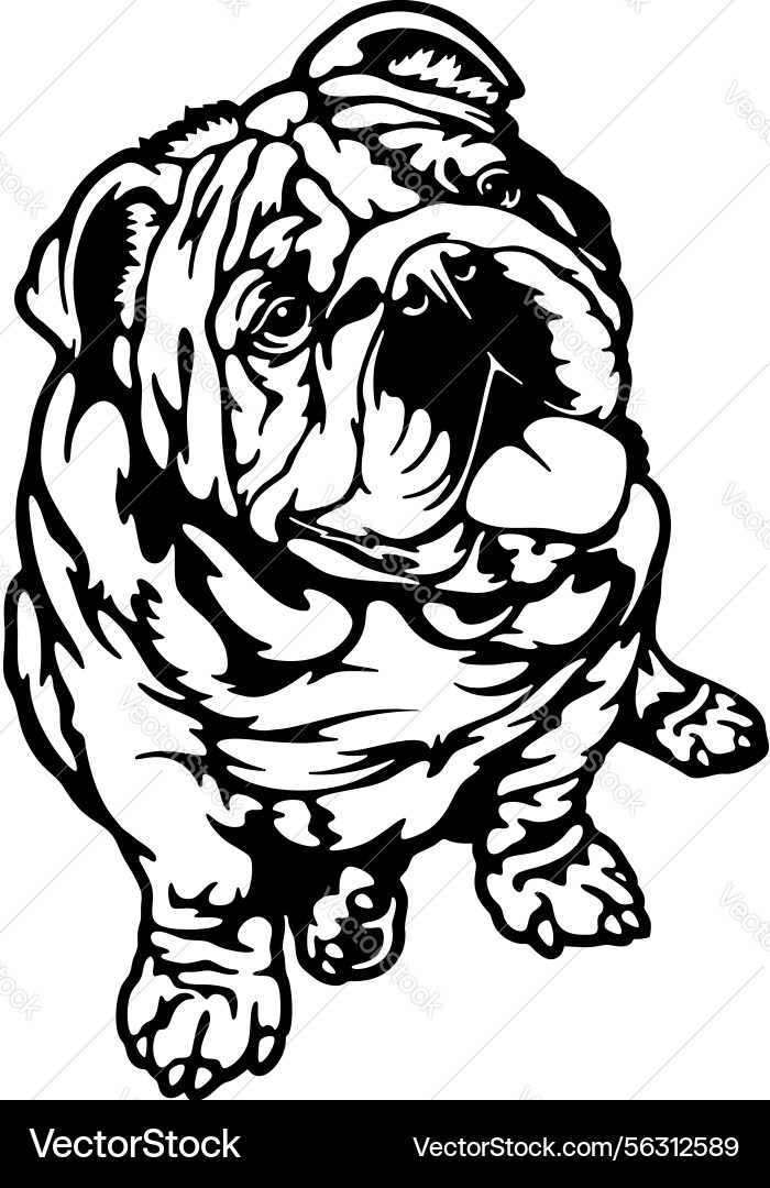 Sitting englisch Bulldog Hund Rasse - Haustierschnitt Sitting englisch Bulldog Hund Rasse - Haustierschnitt vektorbild