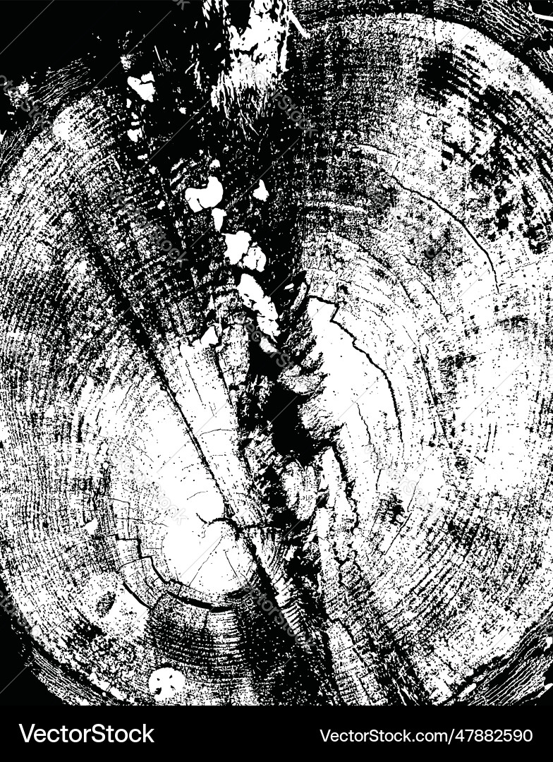 Tree stump macro texture vector image