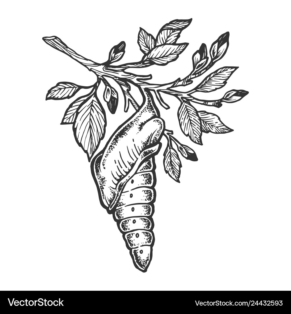 Butterfly Cocoon Sketch on Branch Vector Image