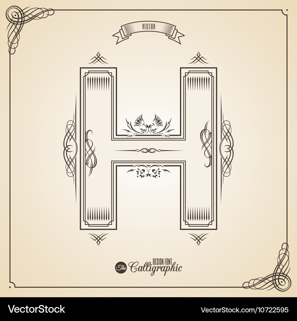 Calligraphic fotn with border frame elements vector image