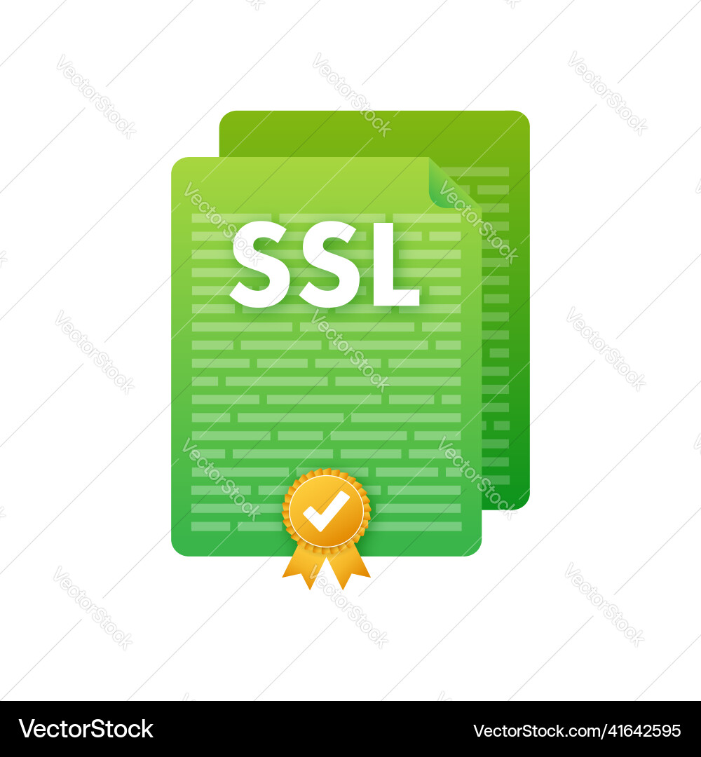 Secure internet connection ssl icon safe Vector Image