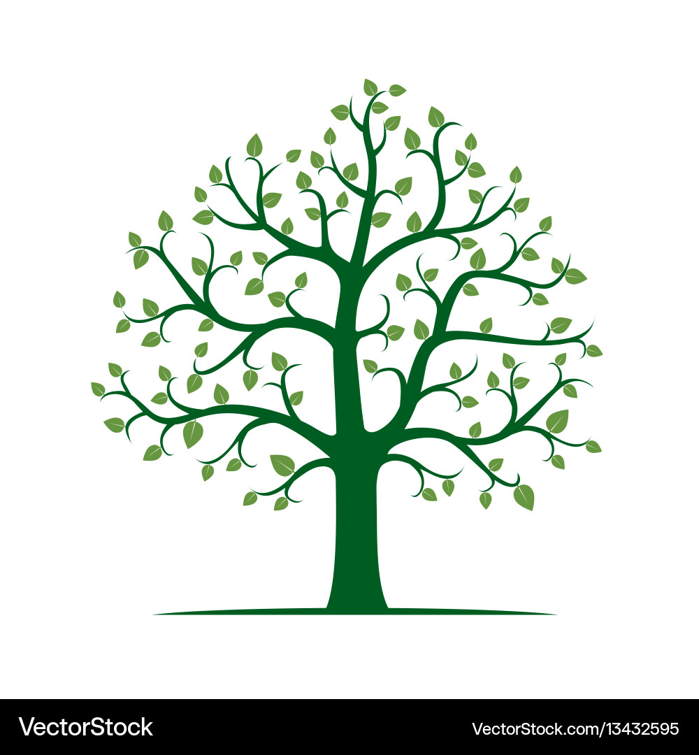 Tree with green leafs Vector Image