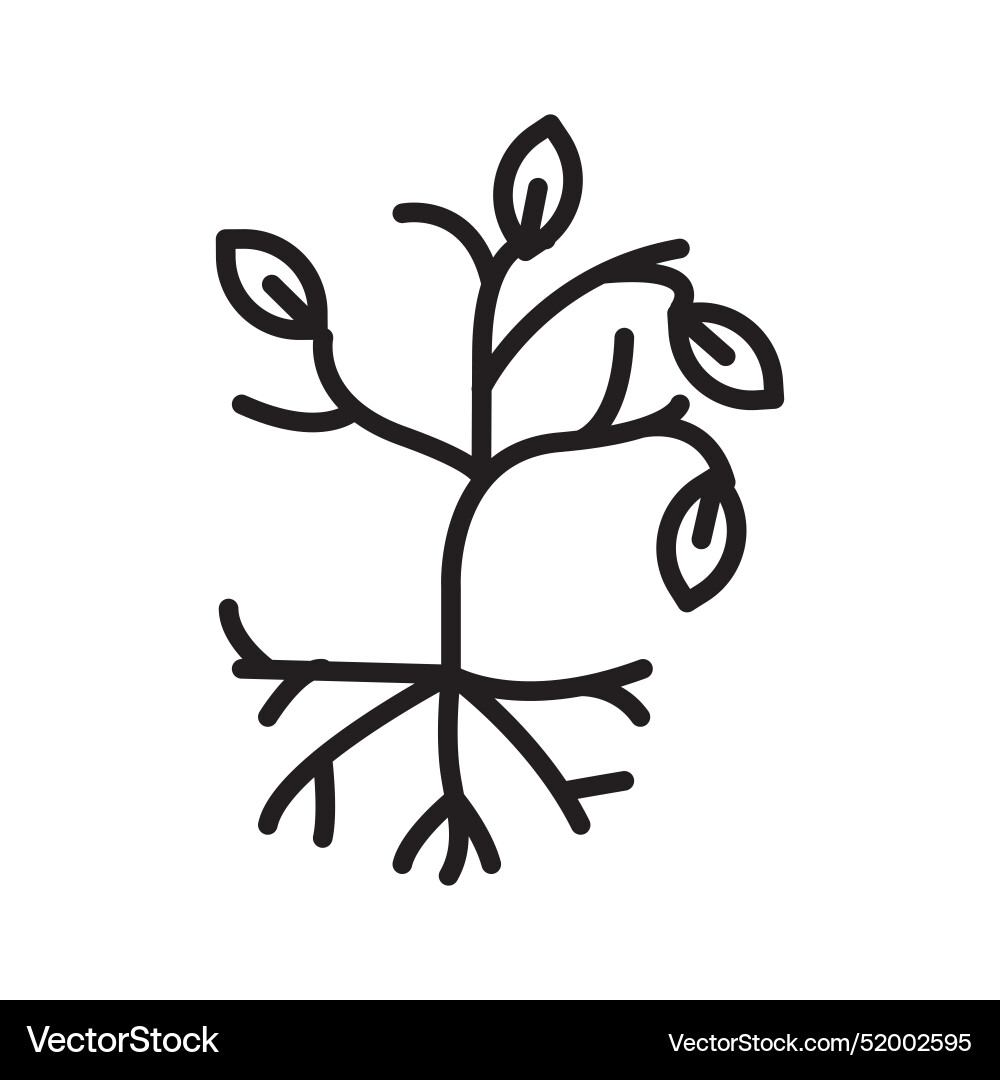 Tree with roots and leaves icon line art Tree with roots and leaves icon line art Vector Image