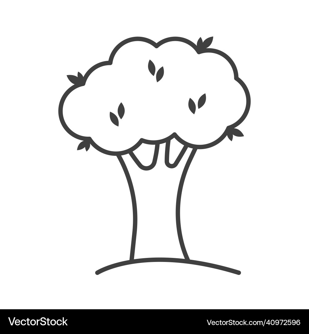 Deciduous tree icon a simple linear image vector image