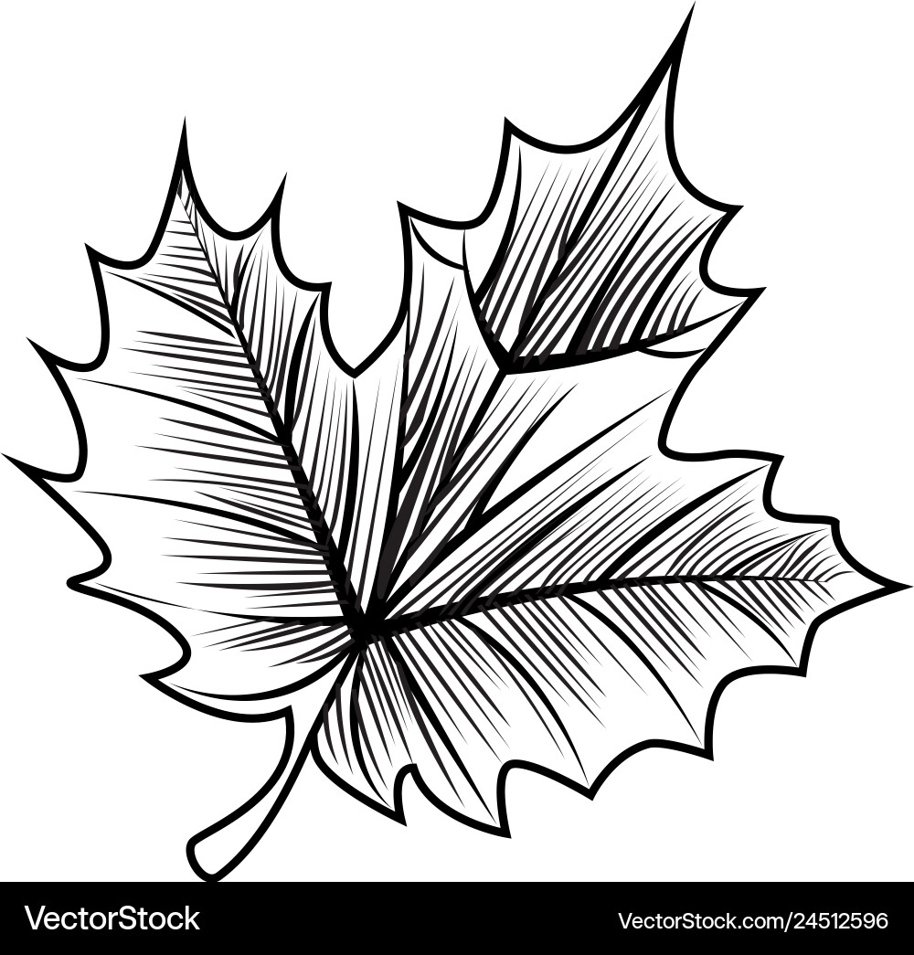Grape leafs isolated icon Grape leafs isolated icon vector image