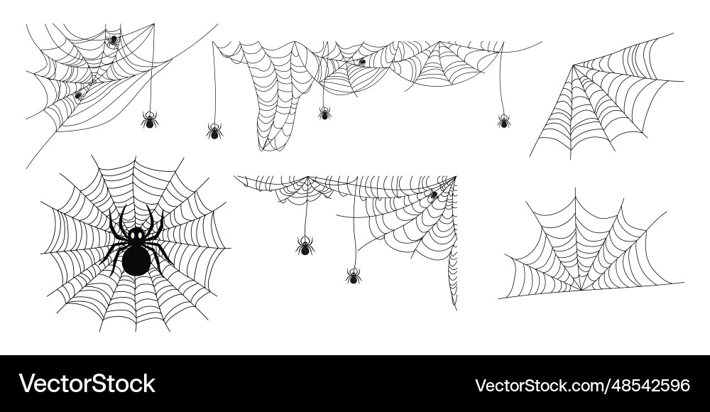 Spider and web set of different designs Spider and web set of different designs vector image