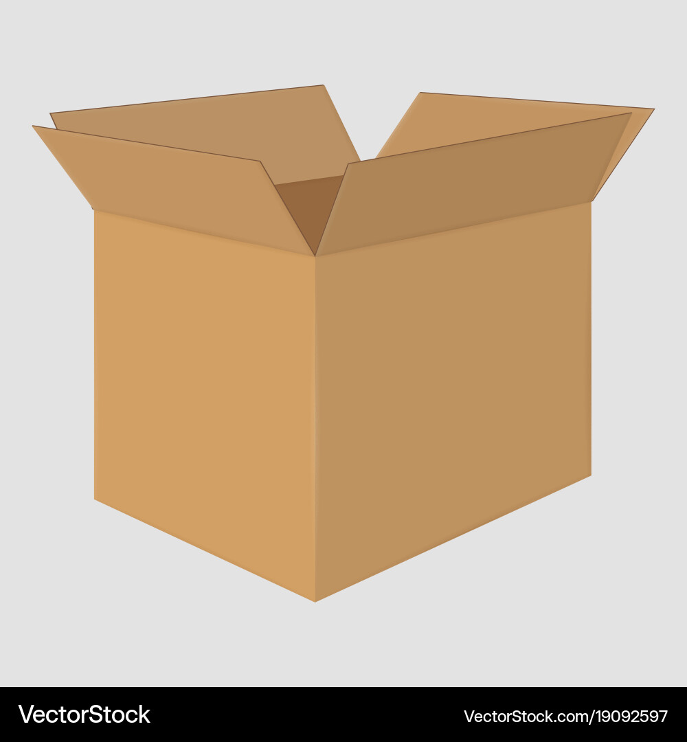 Cardboard open box side view package design vector image