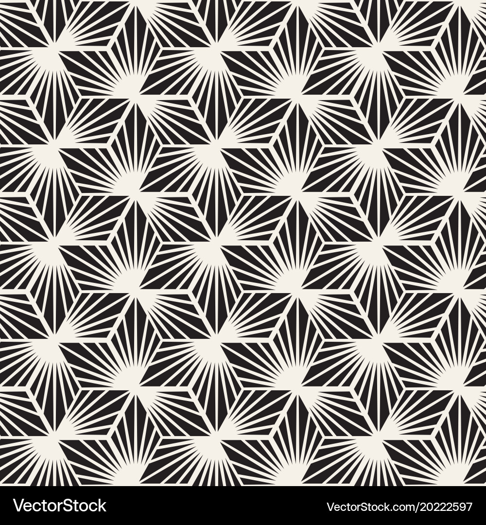 Modern Geometric Hexagonal Pattern vector image