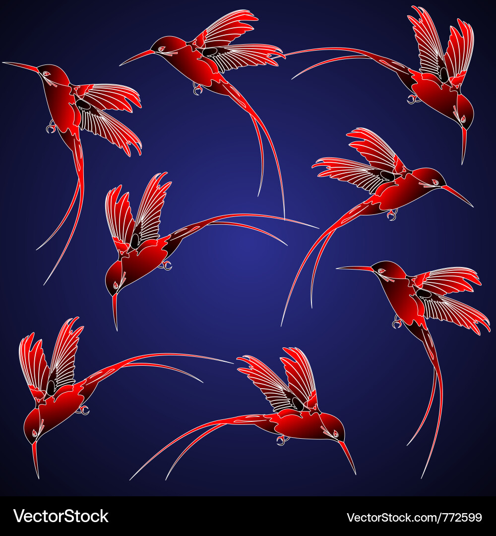 Elegant Hummingbird Pattern - Chinese Style Vector Image